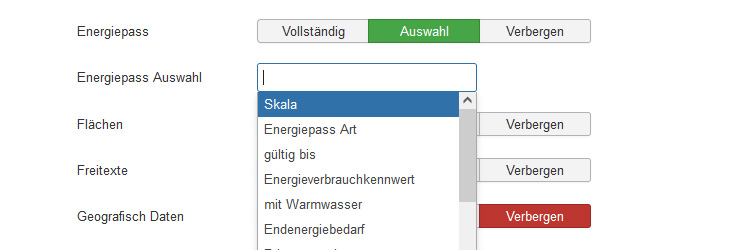 bsdimmo energiepass optionen
